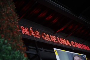_MG_0068(1) - copia