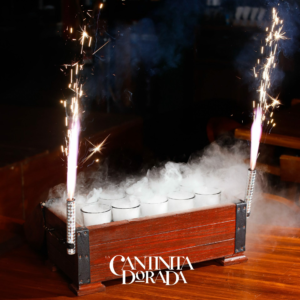galeria6