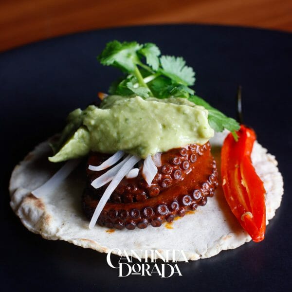 taco de pulpo